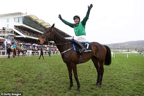 hermes cheltenham|Cheltenham Festival: Sir Alex Ferguson's horse Hermes Allen .